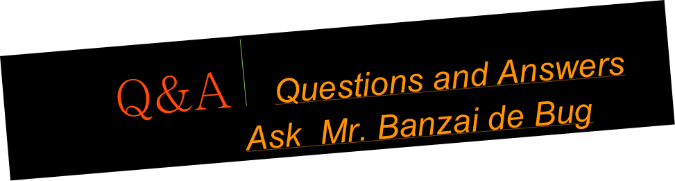     Q&A  ￼    Questions and Answers 
                 Ask  Mr. Banzai de Bug 