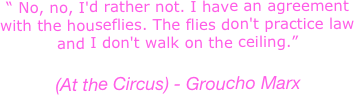 “ No, no, I'd rather not. I have an agreement with the houseflies. The flies don't practice law and I don't walk on the ceiling.”

(At the Circus) - Groucho Marx
                            
